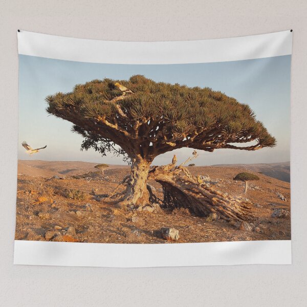 Item preview, Socotra — dreams of the Lost Paradise designed and sold by heydomid.