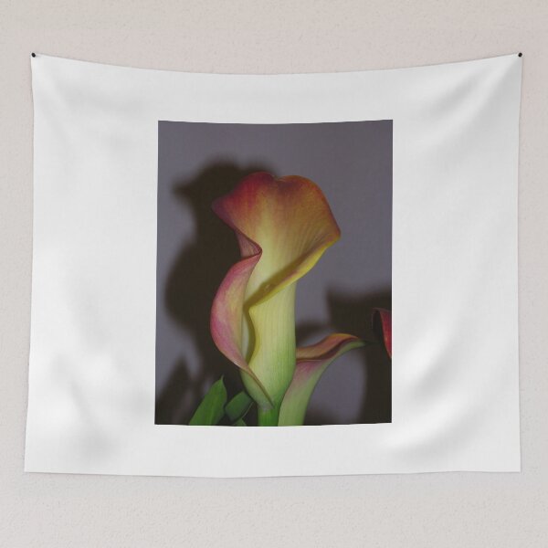 Item preview, Indoor Canna Lily designed and sold by lezvee.
