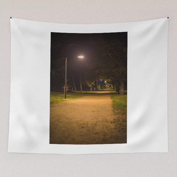 Item preview, Path of night designed and sold by shaynetwright.