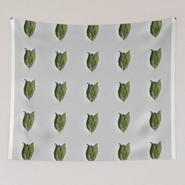 Item preview, background designed and sold by alicara.