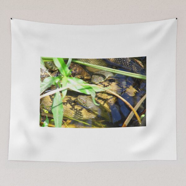 Item preview, Heres Looking At You designed and sold by WildestArt.