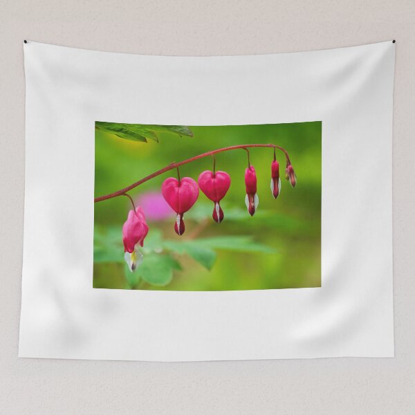 Item preview, Bleeding Hearts - Lamprocapnos-spectabilis designed and sold by Dorset Girl.