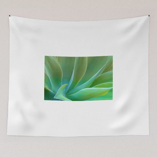 Item preview, Sensual Curves Of Agave Attenuate designed and sold by Ram Vasudev.