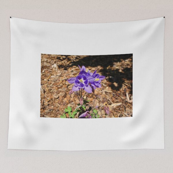 Item preview, KE Columbine Study 1  designed and sold by Robert Meyers-Lussier.