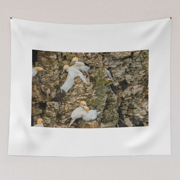 Item preview, Gannet - A View  designed and sold by Carl Gaynor.