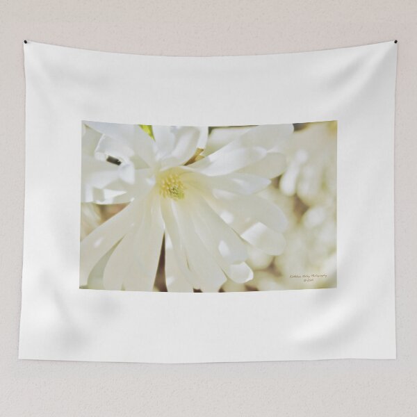 Item preview, Magnolia Blossom designed and sold by Kathleen Daley.