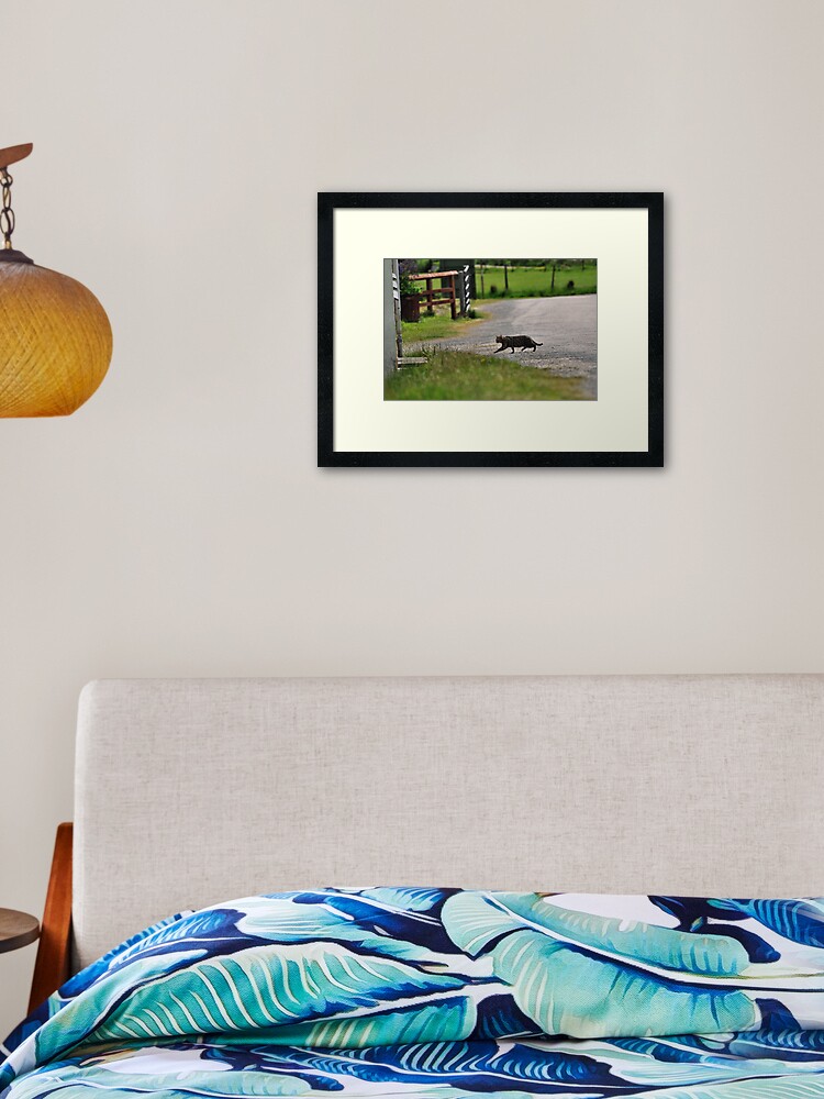 Thumbnail 1 of 7, Framed Art Print, Cat-Dash designed and sold by Paul Eden.