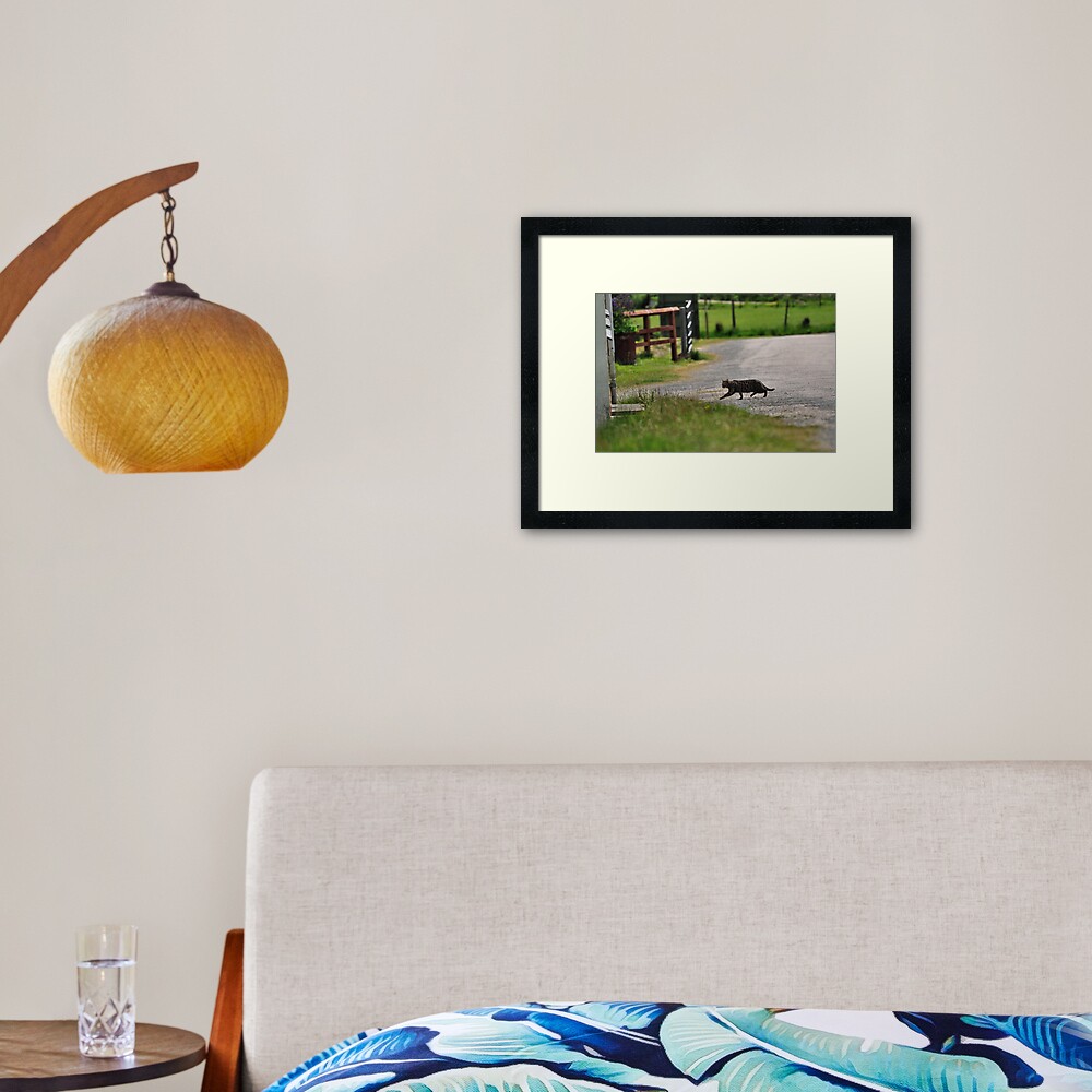 Cat-Dash Framed Art Print