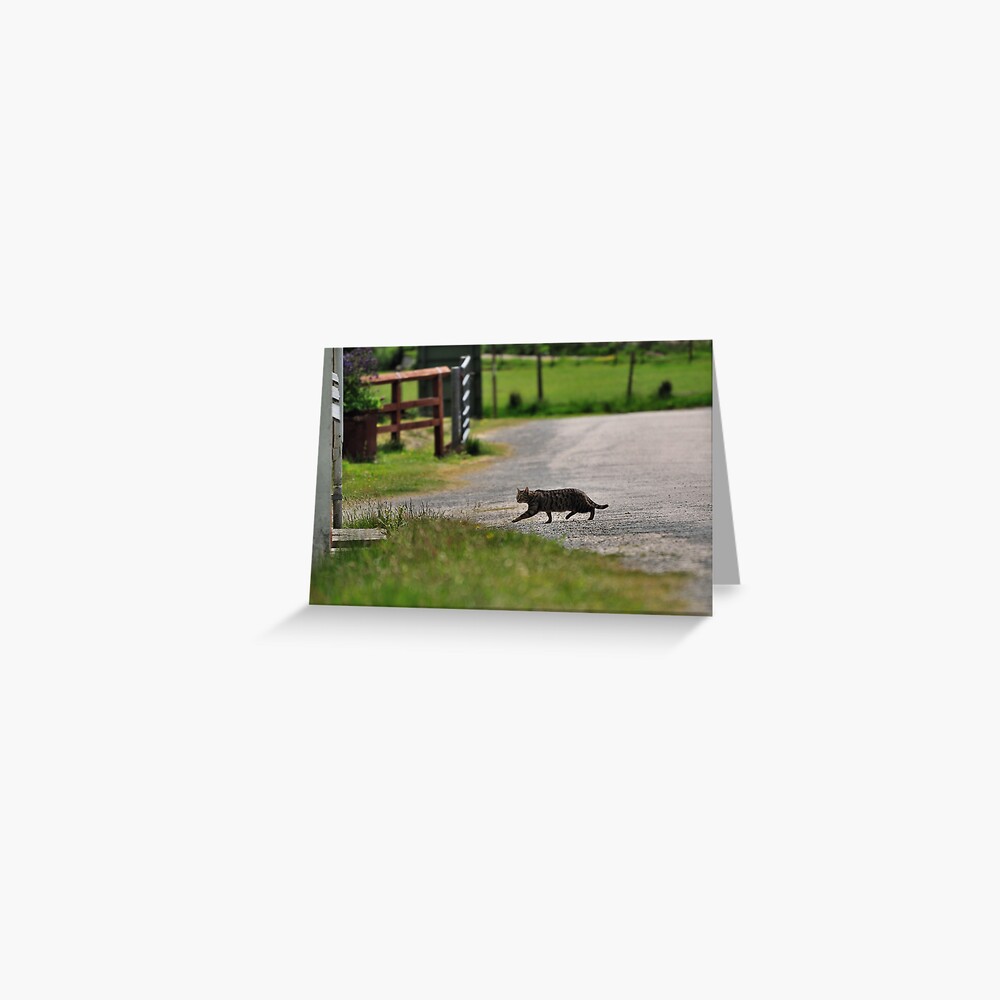 Item preview, Greeting Card designed and sold by pauleden.