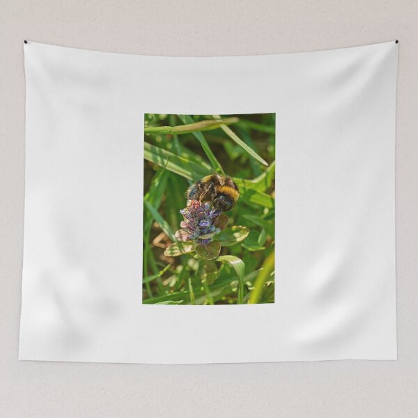 Item preview, First of the season designed and sold by Mark Bangert.
