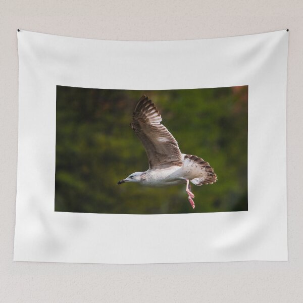 Item preview, seagull designed and sold by Wizi-Top.