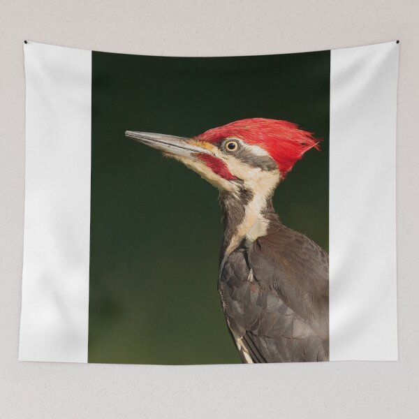 Item preview, Pileated Woodpecker designed and sold by WorldDesign.