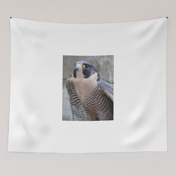Item preview, Peregrine falcon designed and sold by corrado.