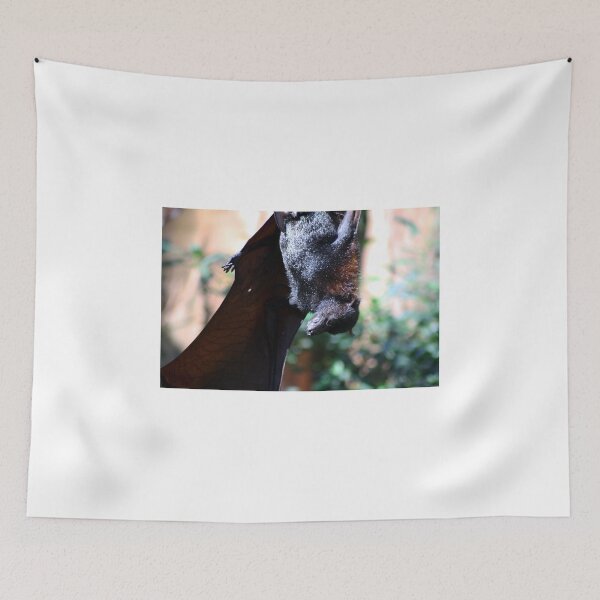 Item preview, bat sleeping designed and sold by Jennifer  Sweeney.