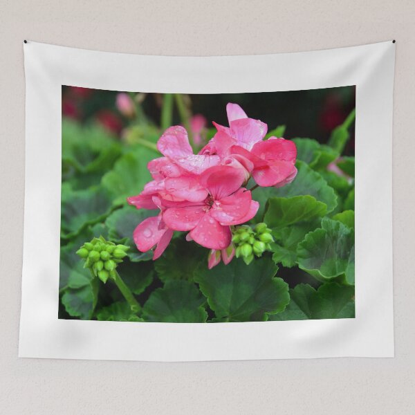 Item preview, Raindrops on Pink Geranium designed and sold by Catherine Sherman.
