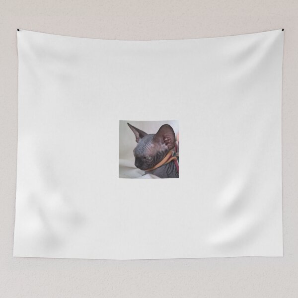 Item preview, Baby black sphynx cat sweet dream designed and sold by royalsphynxcat.