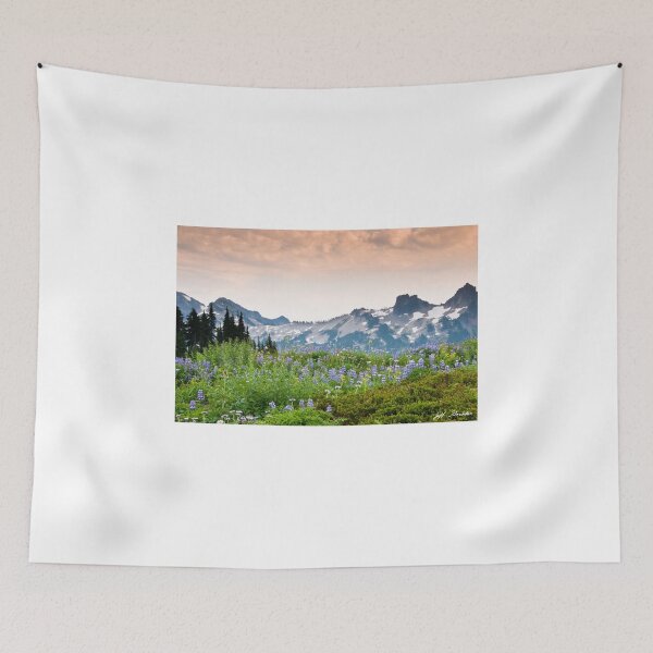 Item preview, Paradise Meadows and the Tatoosh Range designed and sold by Jeff Goulden Photography.