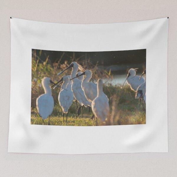 Item preview, Sunset Meeting Time designed and sold by byronbackyard.