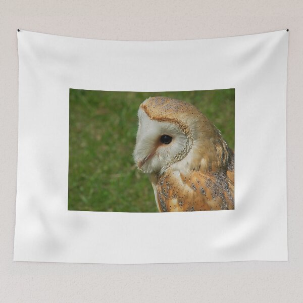 Item preview, Gentle Barn Owl - Tyto alba designed and sold by Dorset Girl.