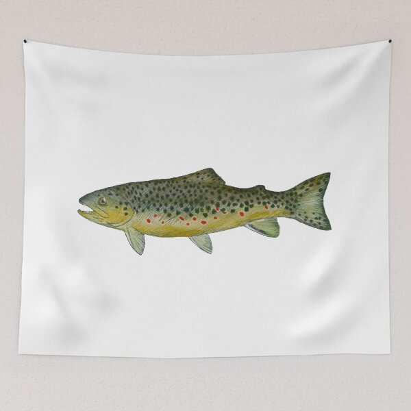 Item preview, Brown trout  designed and sold by CarsonSloas.