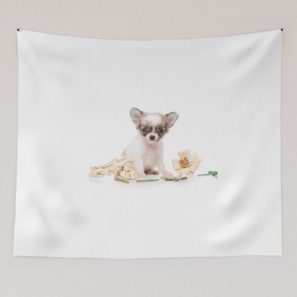 Item preview, Cute fluffy white dog puppy chihuahua designed and sold by utekhina.