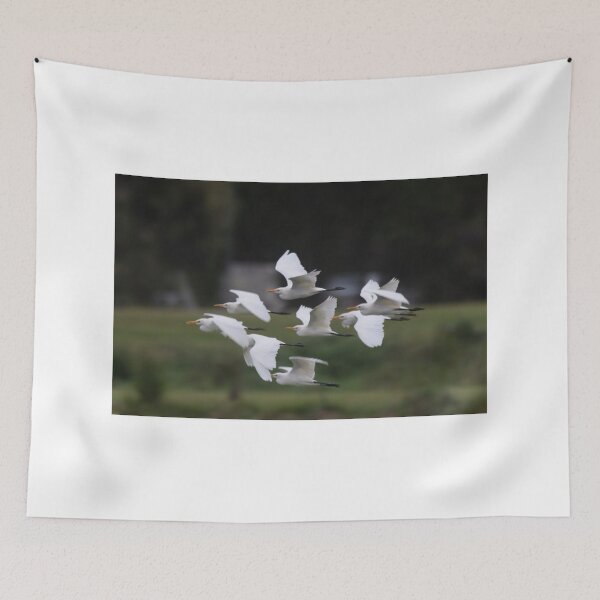 Item preview, Flock designed and sold by byronbackyard.