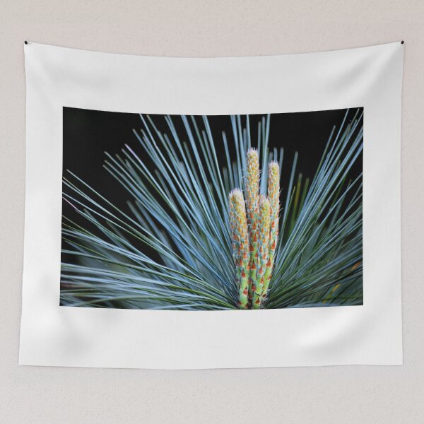 Item preview, Evergreen shapes designed and sold by Laurie Minor.