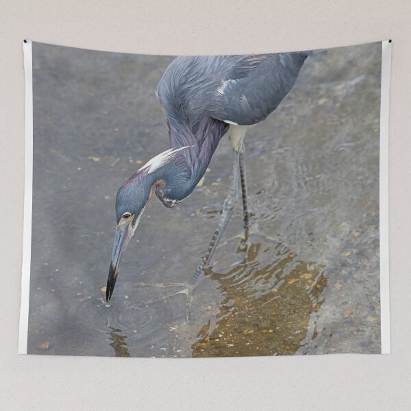 Item preview, Tri Colored Heron designed and sold by SuddenJim.