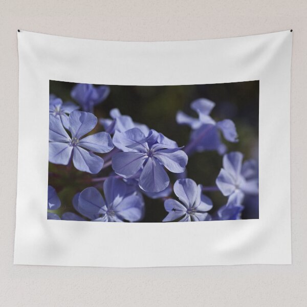 Item preview, *The Plumbago Dance* designed and sold by Joy Watson - Natural Light Photography .