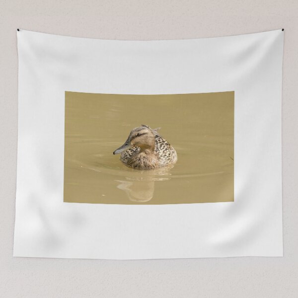 Item preview, Mallard ( Anas platyrhynchos )  ♀ designed and sold by MarekM.