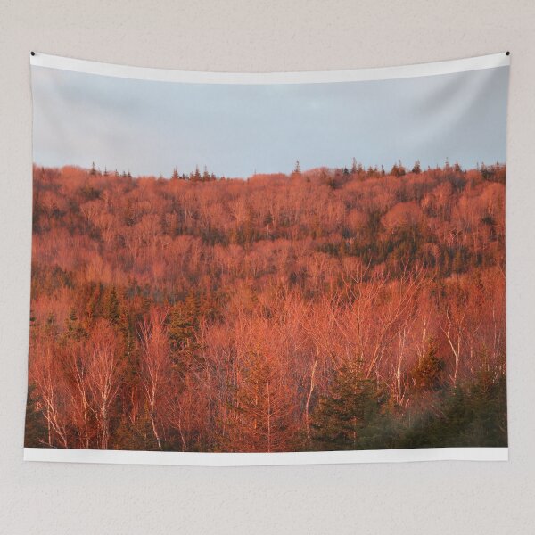 Item preview, orange forest designed and sold by malcolm-.