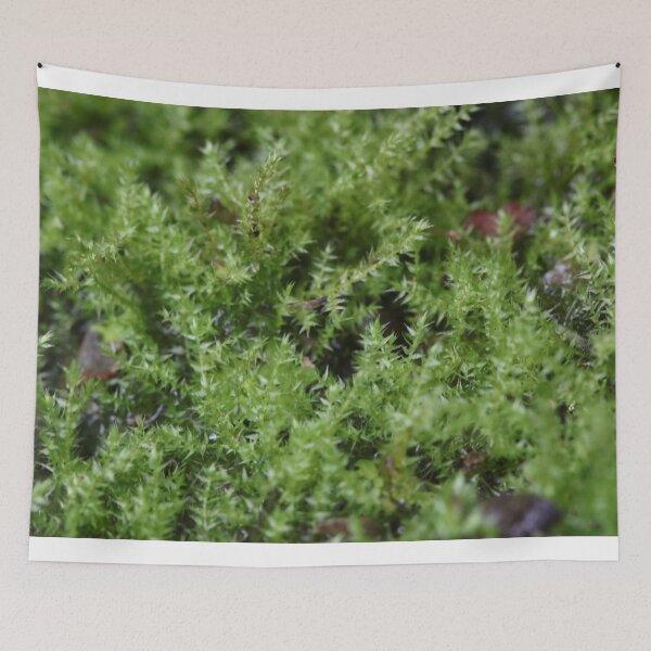 Item preview, Moss on a small scale designed and sold by Norgan's Creations.
