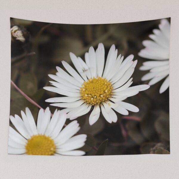Item preview, Daisies designed and sold by Roswitha Lorz.