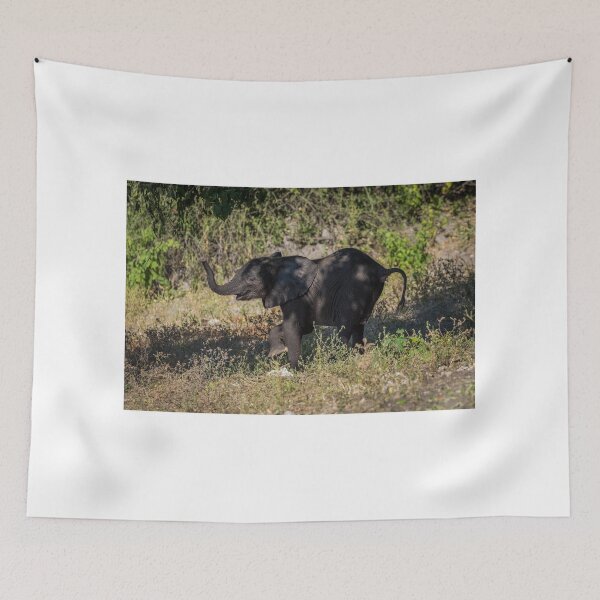 Item preview, Baby elephant appearing to dance down slope designed and sold by Nick Dale Photography.