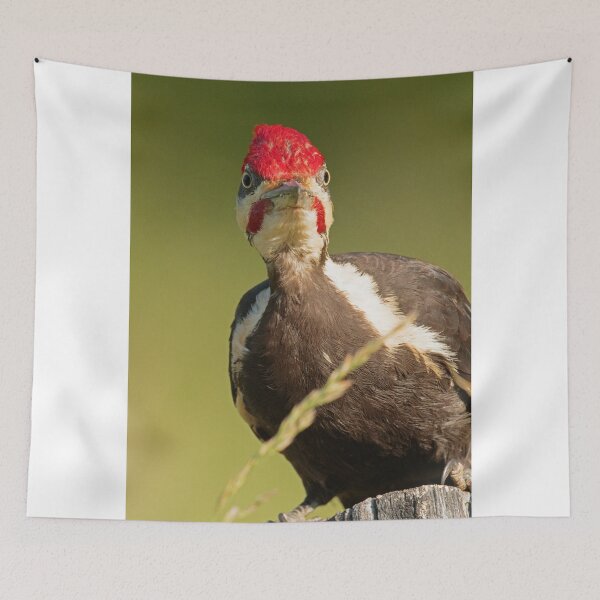 Item preview, Pileated Woodpecker designed and sold by WorldDesign.