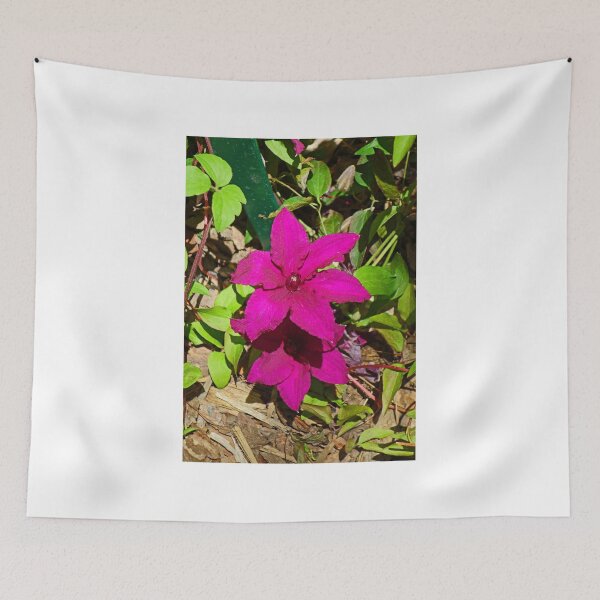 Item preview, KE Clematis Study 1  designed and sold by Robert Meyers-Lussier.