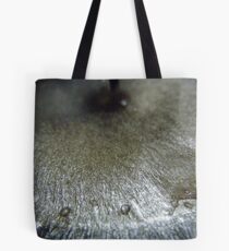 Barren Tote Bag