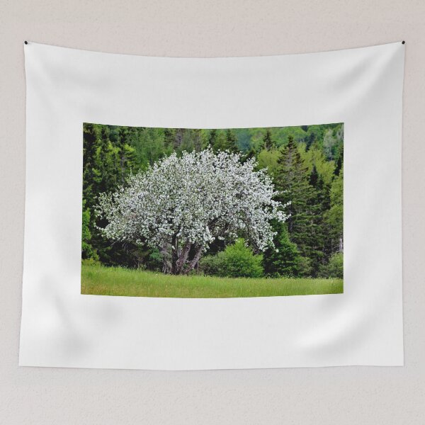 Item preview, Wild Apple Tree in Bloom II designed and sold by Kathleen Daley.