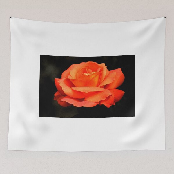 Item preview, Apricot Rose.......Lyme Dorset. UK designed and sold by lynn carter.