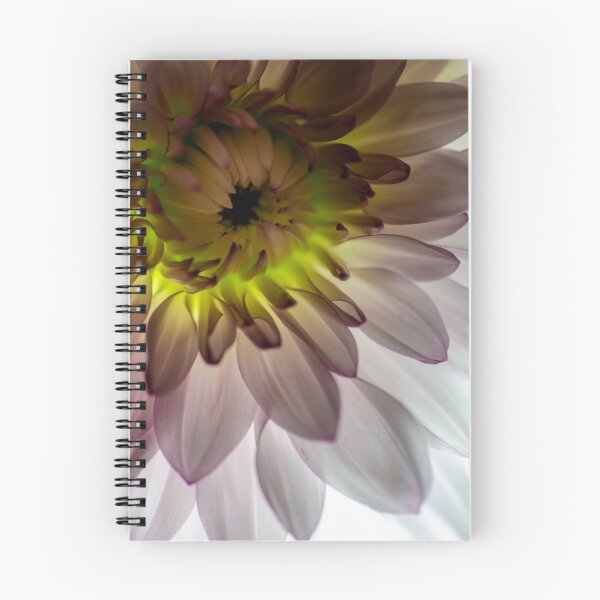 Item preview, The Light Shines Through You designed and sold by Sandra Parlow.