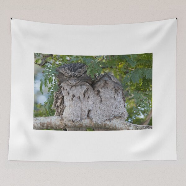 Item preview, We've Been Spotted designed and sold by byronbackyard.