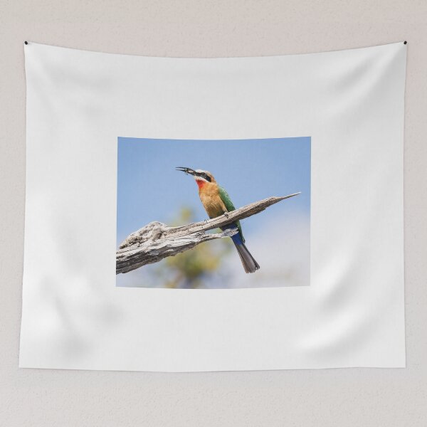 Item preview, White-fronted Bee-eater along the Chobe river, Botswana designed and sold by Robert Kelch, M.D..
