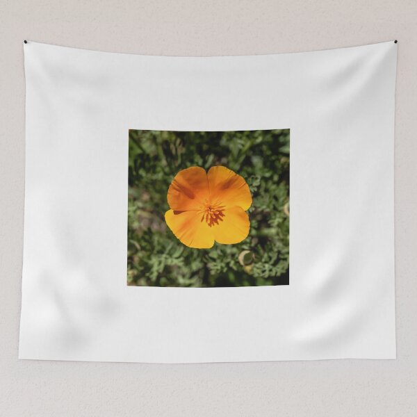 Item preview, Orange POP! designed and sold by Thaddeus Zajdowicz.