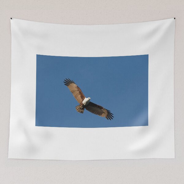 Item preview, Stationary Hover designed and sold by byronbackyard.