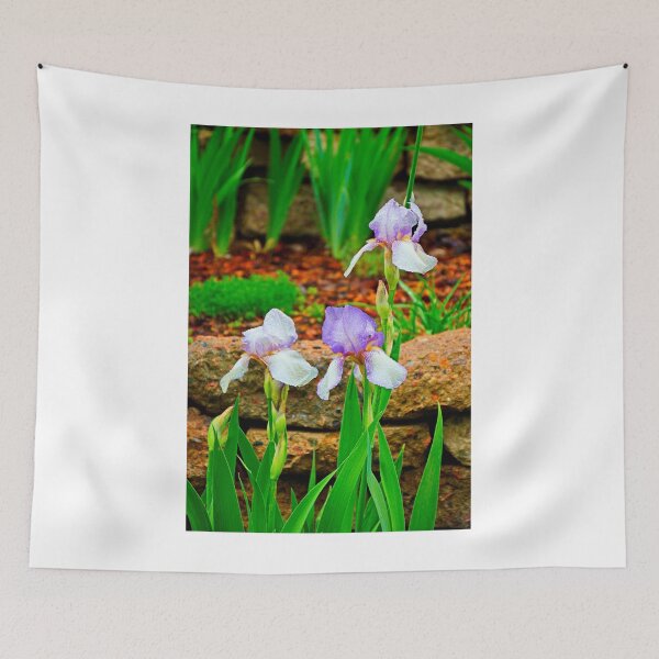 Item preview, KE Iris Study 1  designed and sold by Robert Meyers-Lussier.
