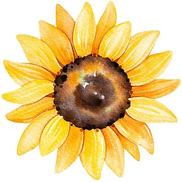 Artwork thumbnail, Watercolor sunflowers, hand painted yellow flower by SouthPrints