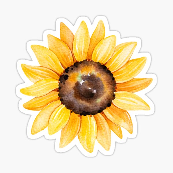 Download Sunflowers Gifts Merchandise Redbubble