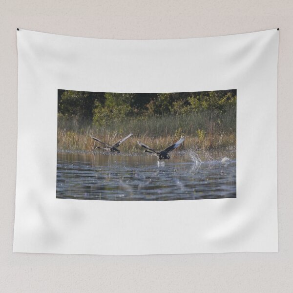 Item preview, The Cygnets Are Flying  designed and sold by byronbackyard.
