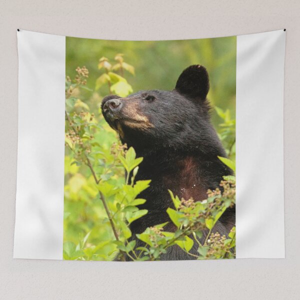 Item preview, Black Bear Standing designed and sold by WorldDesign.