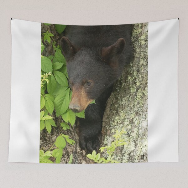 Item preview, Bear Cub designed and sold by WorldDesign.